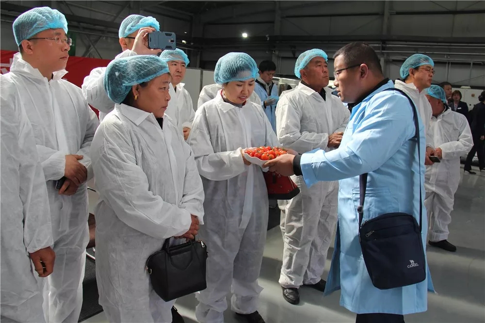 640.webp (7).jpg 640.webp (7).jpg