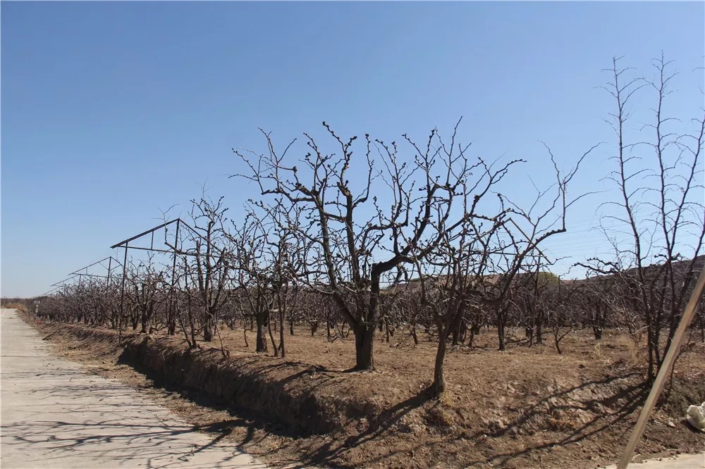 640.webp (21).jpg 640.webp (21).jpg