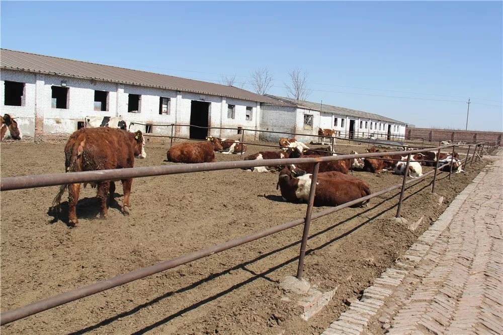 640.webp (1).jpg 640.webp (1).jpg