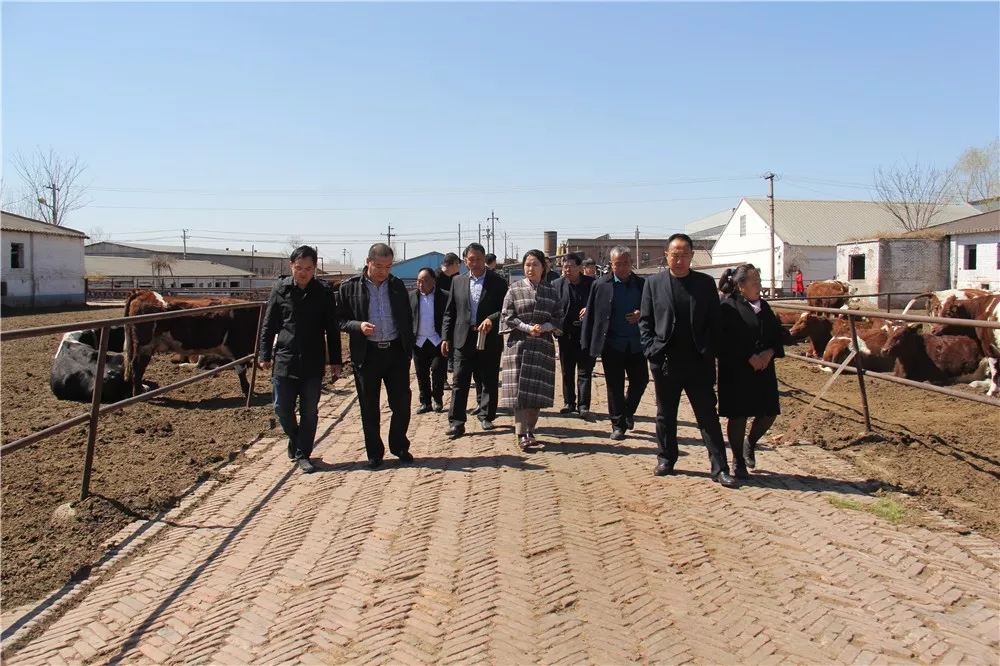 640.webp (2).jpg 640.webp (2).jpg