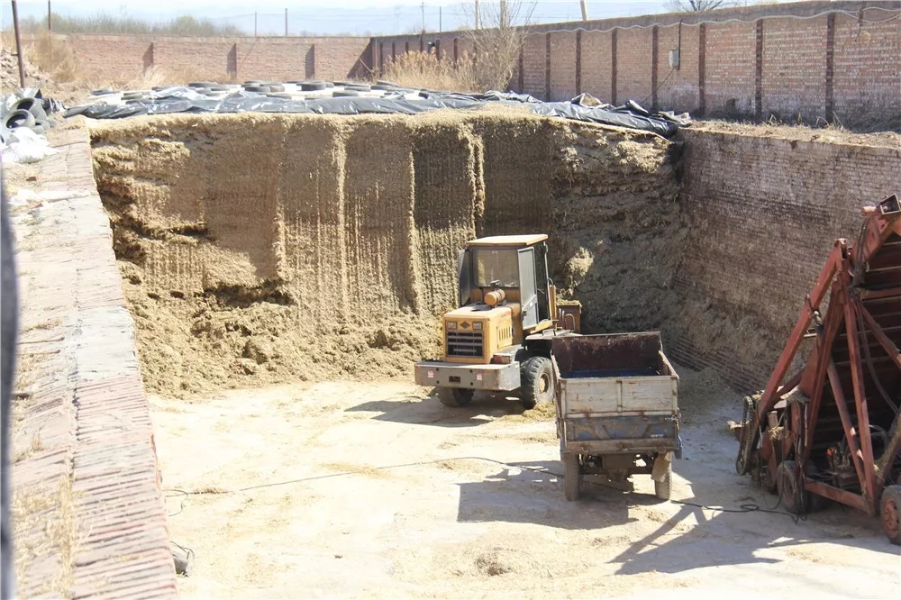 640.webp (7).jpg 640.webp (7).jpg